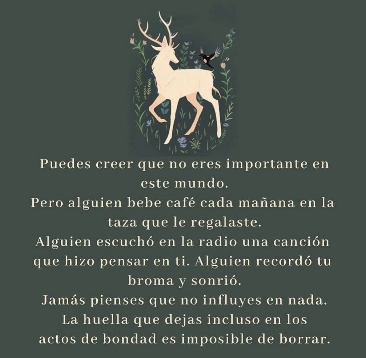 _AlonsoRdz's tweet photo. https://t.co/o7P2fb5Q8H