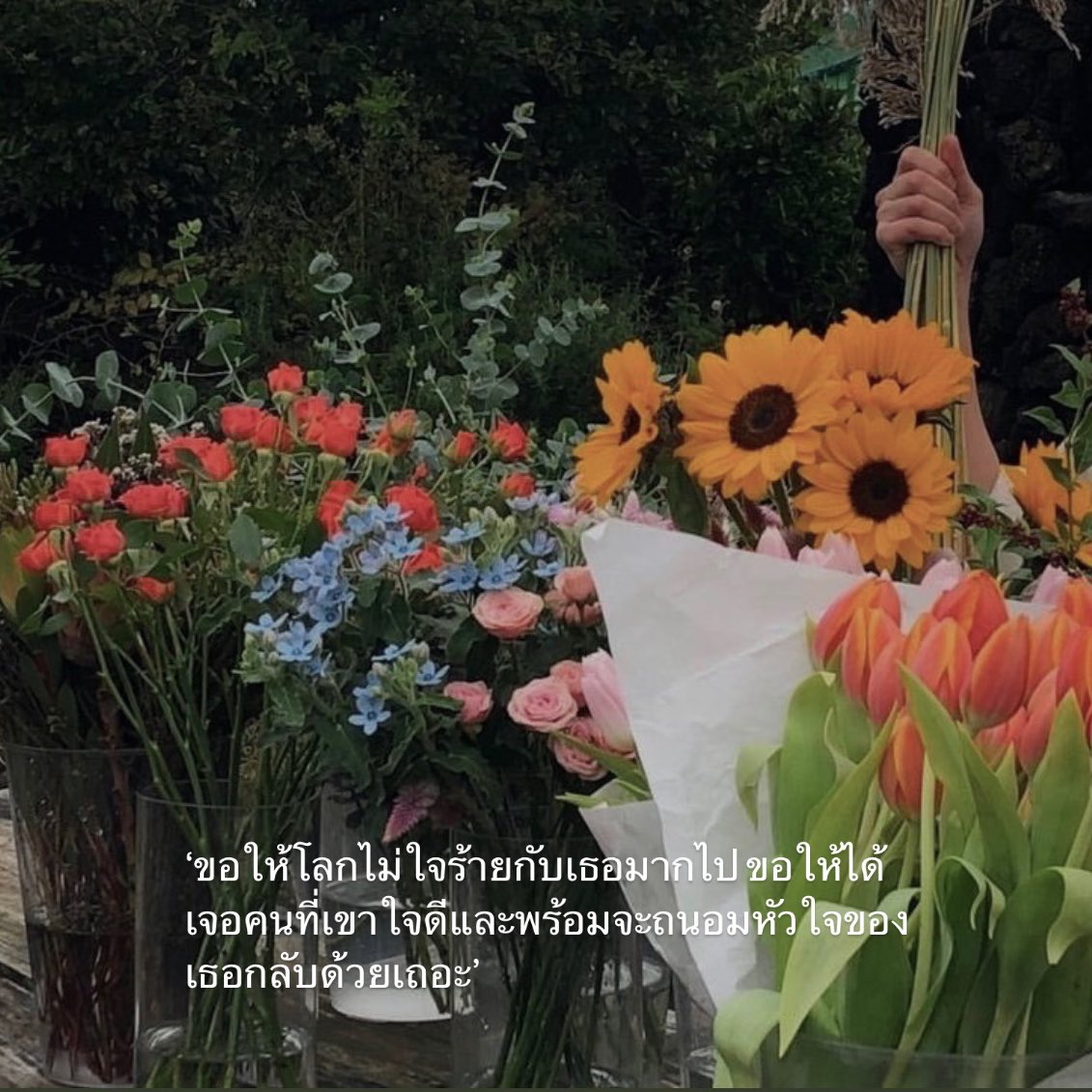 itmydefinition's tweet image. .