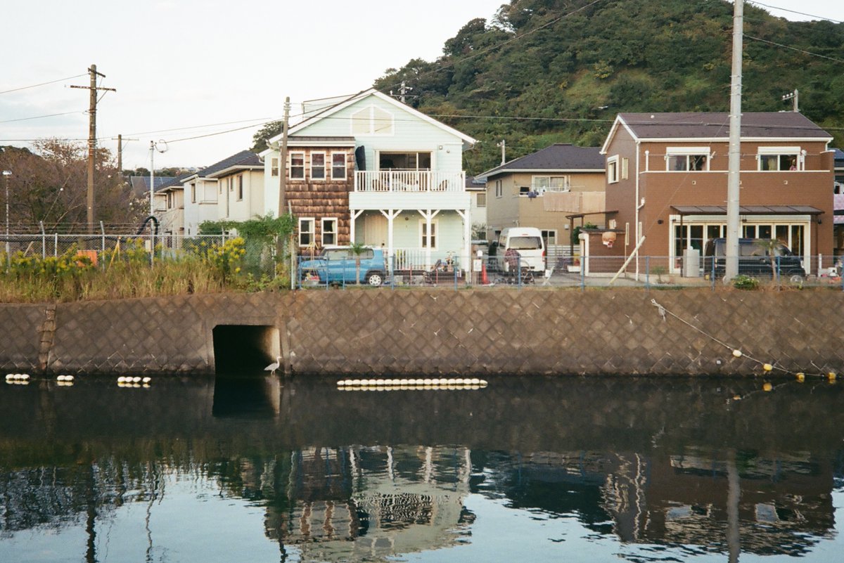 notzo's tweet photo. #olympus #35ec #kodak #gold200 https://t.co/0tXxbi2M0u