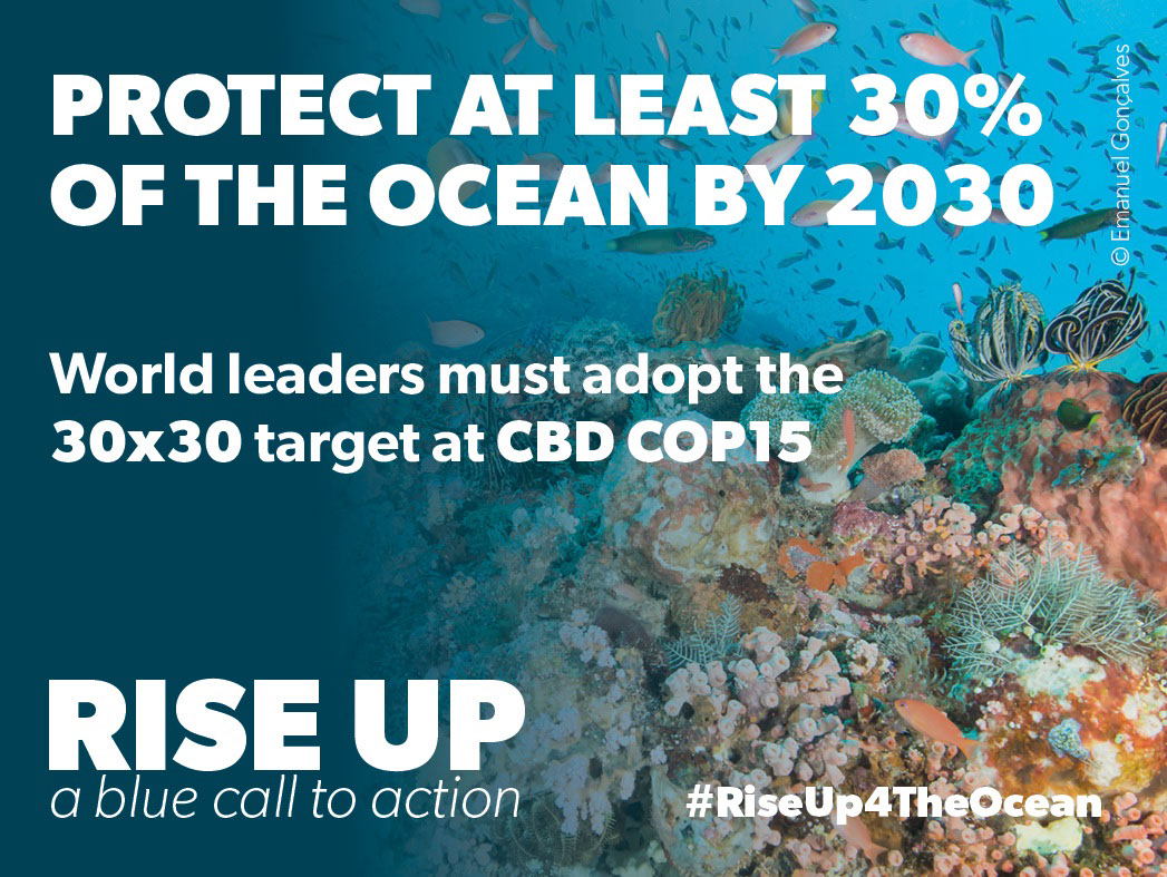 FinlayPringle's tweet photo. #COP15 must adopt @UNOceanDecade's #30x30 goal: a global network of effective #MPAs and Indigenous Peoples &amp; Local Community #IPLCs conserved areas to provide climate, food security, livelihood and #biodiversity benefits. 

#RiseUp4TheOcean #BlueCallToAction #CBD15 #ForNature https://t.co/PpDy35mA2d