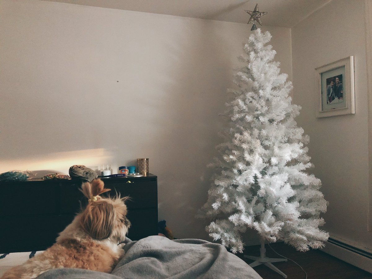 Nando Rodriguez tweet media