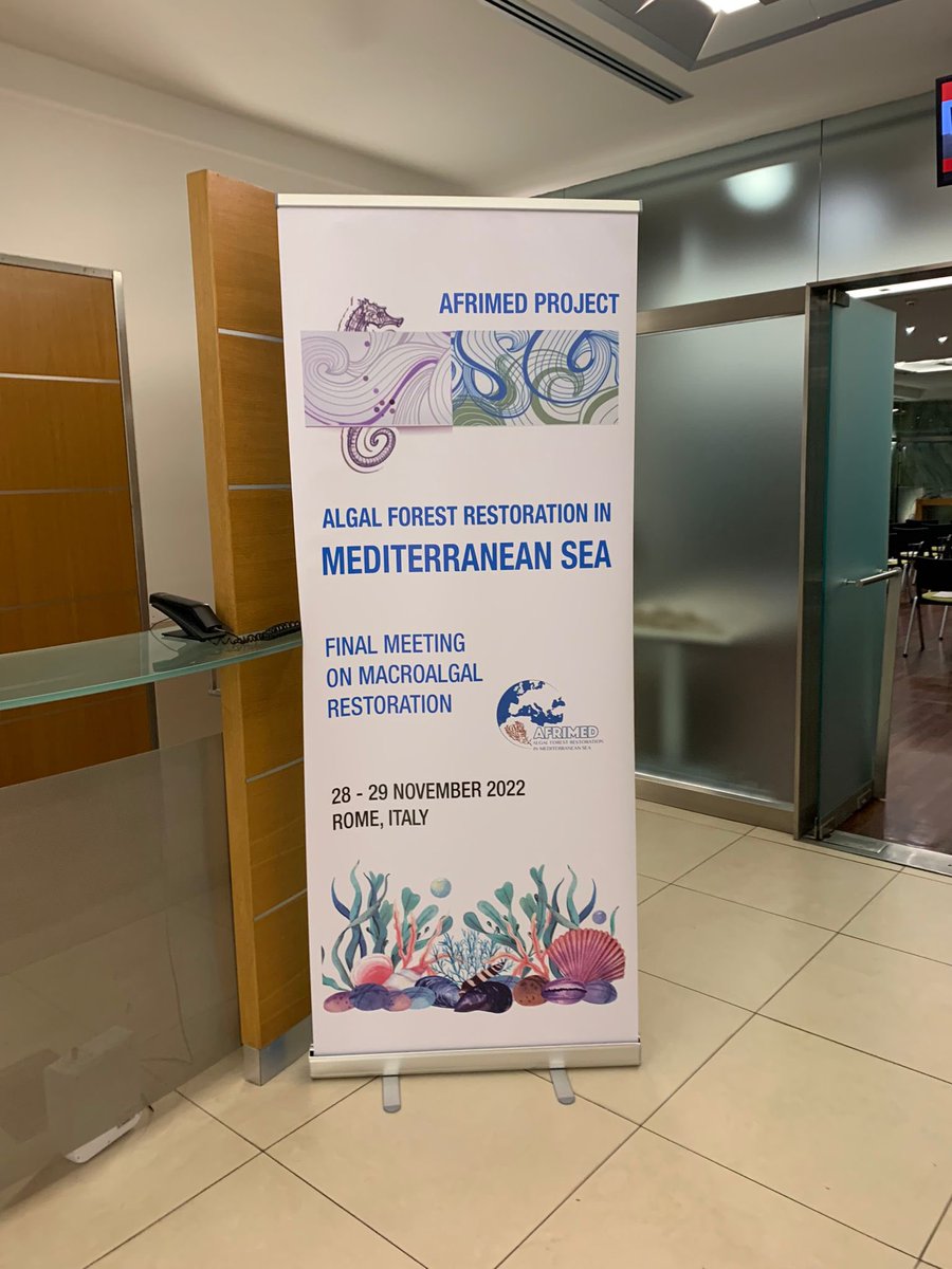 AfrimedEu's tweet photo. Restoring marine environments is needed!  Two intense days dedicated to the restoration of macroalgal forests for the AFRIMED final meeting in Rome. https://t.co/18AnLzRlPB