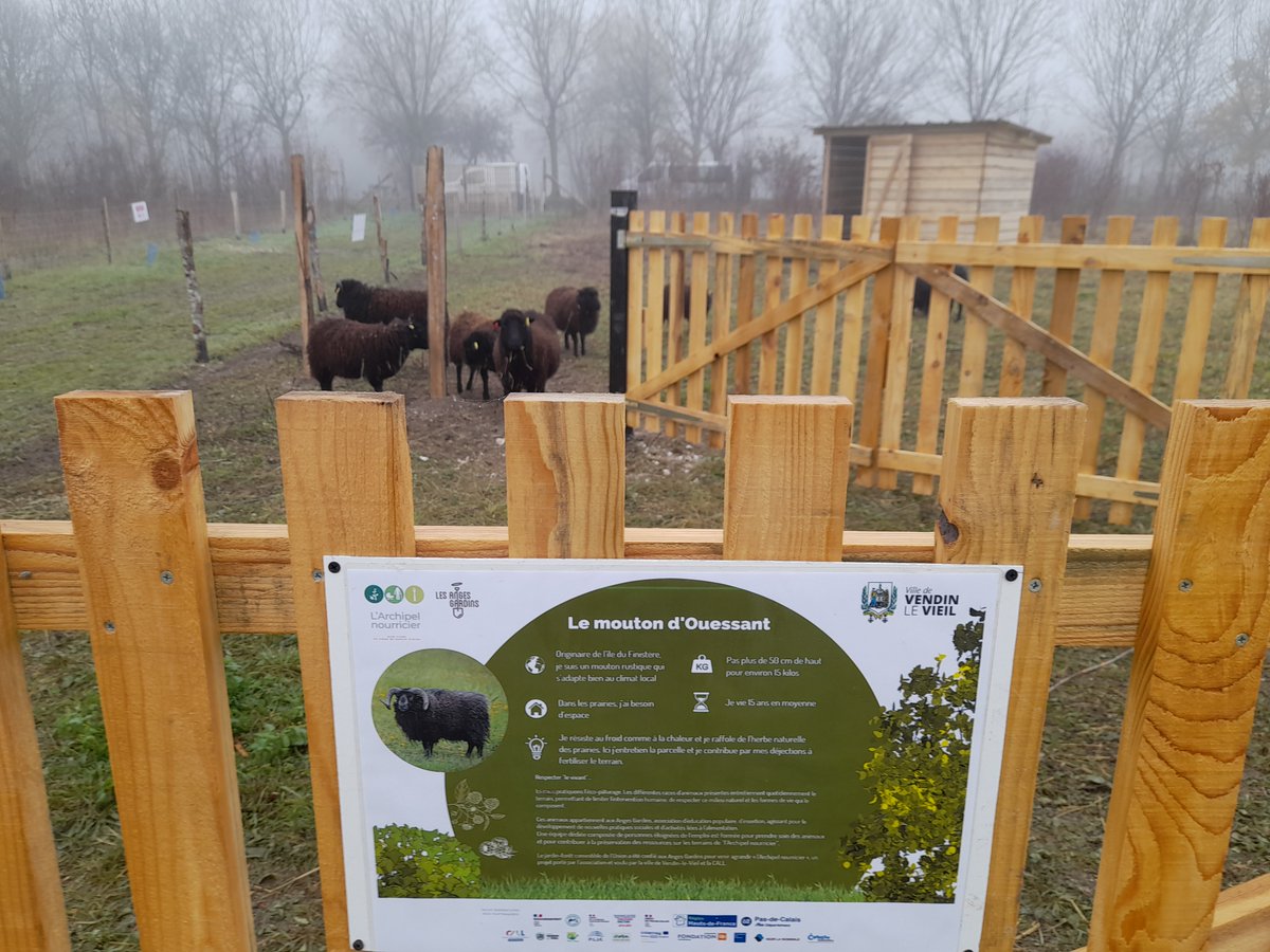 lesangesgardins's tweet photo. Inauguration du jardin-forêt comestible de l'Union avec la ville de Vendin-le-Vieil. L'archipel nourricier des @angesgardins s'agrandit : un site d'#ecopaturage, favorisant la #biodiversite et la #productionlocale
@Prefet62 @AggloLensLievin @FondationUp @reseaucocagne https://t.co/5J4plTIB6Y