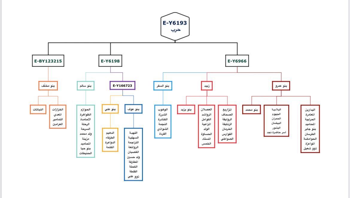 يسرنا إعلان نتيجة العرامين المخلّفي الحربي من أهل وادي (خضرة، حنذ ، مر ، الأكحل)  41668 YSEQ برقم YF109630 تتكتل النتيجة مع نتائج أبناء عمومته (الخزازات، التمامير، المعدي، النباتات) من قبيلة مخّلف تحت تحورهم المميز BY123215 ابن تحور قبيلة حرب E-Y6193 وشكراً لدعمكم المشروع الحربي.
