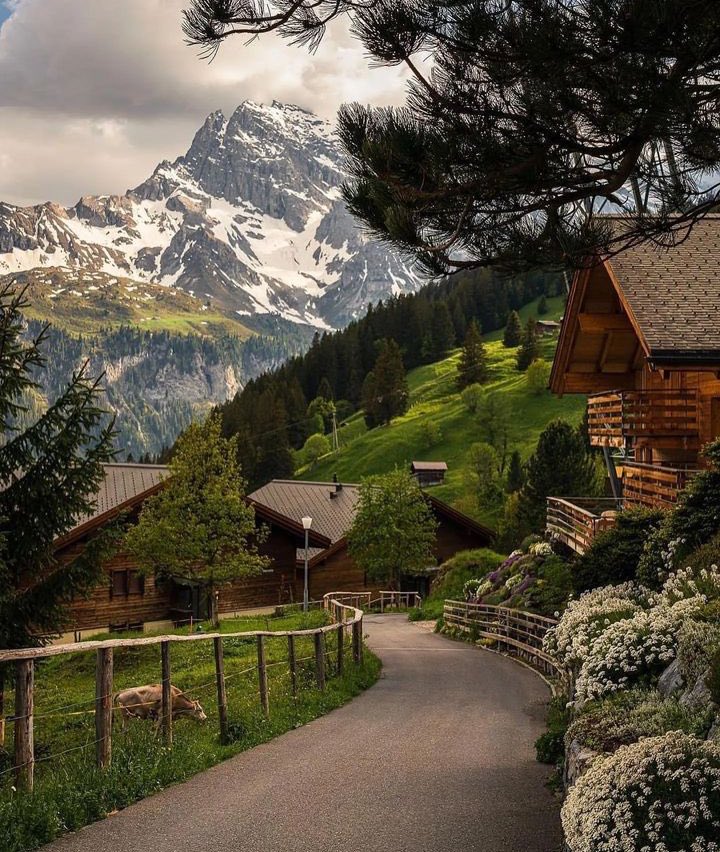 Switzerland 🇨🇭