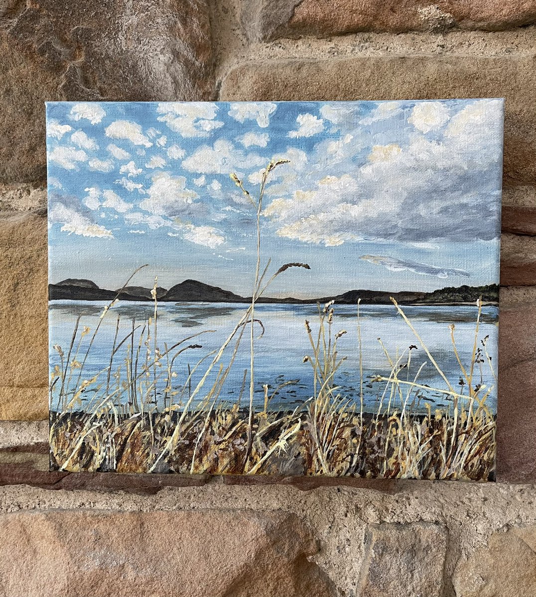 Loch Fleet….paint what you love…
#scotland