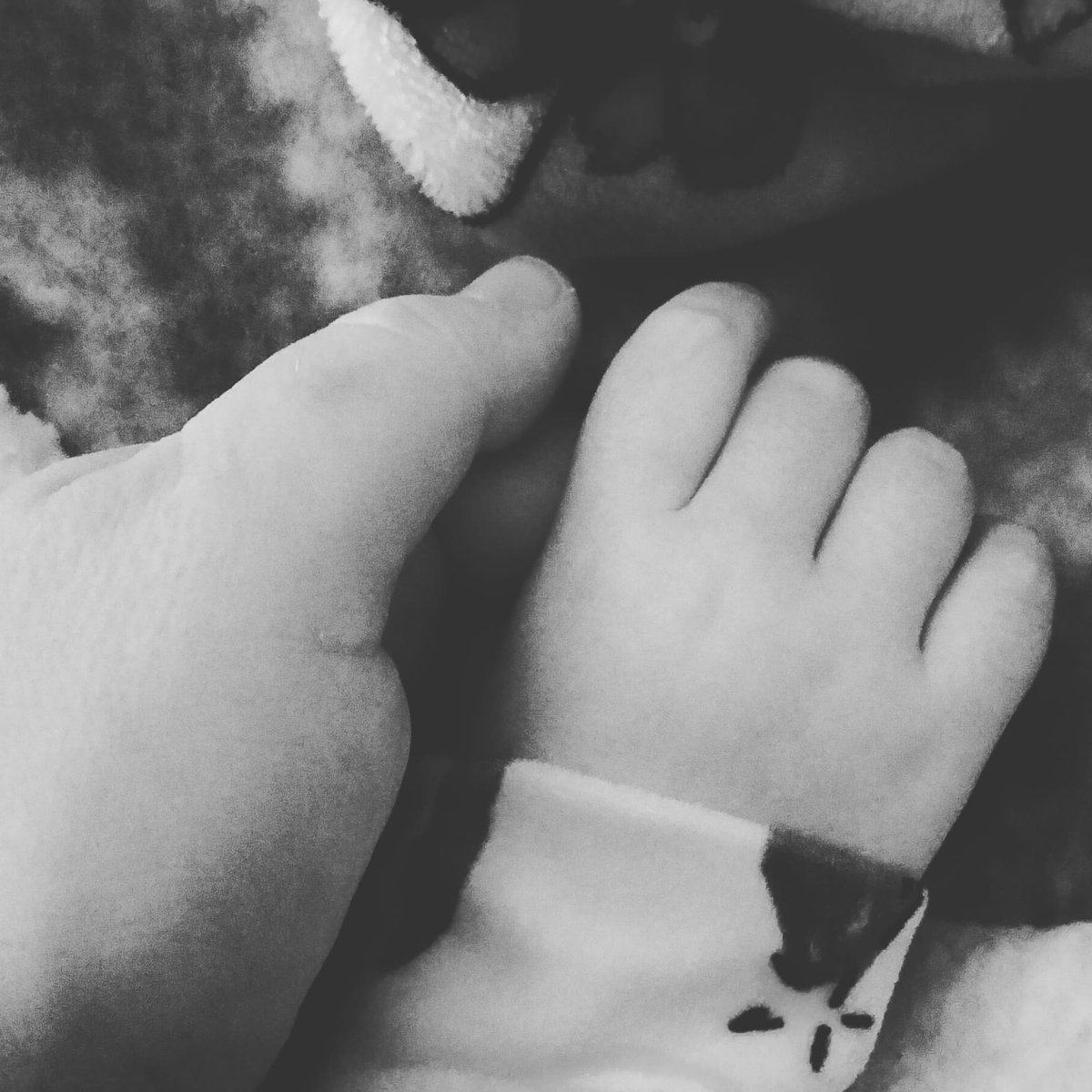 Aria VS Dipg tweet media