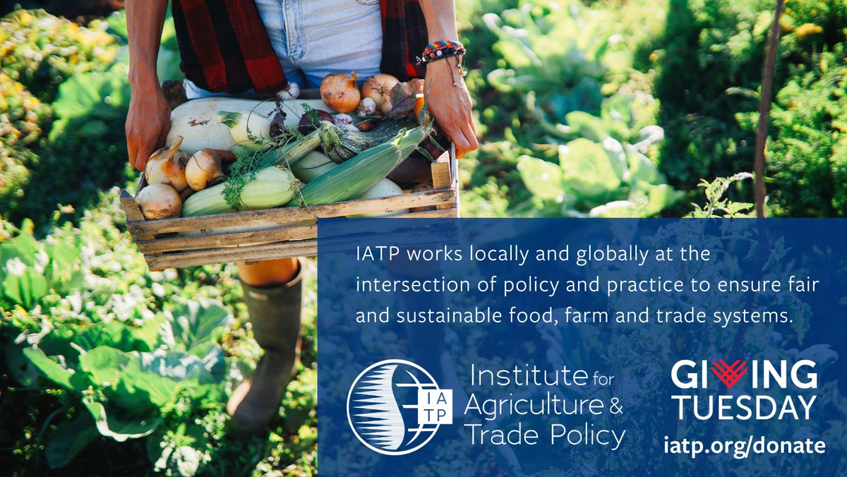 IATP is a small nonprofit research and advocacy organization taking on powerful agribusiness corporations and the industrialized global food system. This #GivingTuesday, help support our work fighting for just, sustainable, resilient food systems. …ltureandtradepolicy-bloom.kindful.com