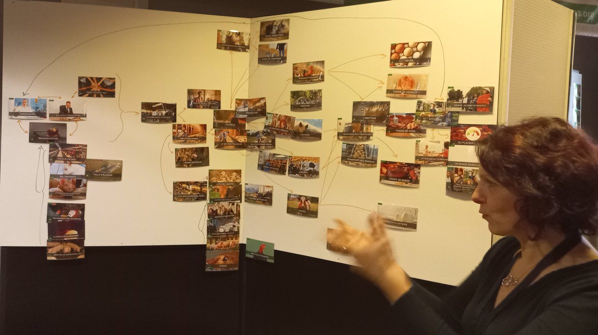 Temps de réflexion sur la "Fresque du bien-être animal" 🐄
Je m'interroge sur l'angle pris par cette fresque...

Est-ce que le référentiel trop global ne noie-t-il pas les problématiques d'élevages qui impactent le monde agricole ? 
Confrontons la réalité du terrain !👨‍🌾 
#OAF2022