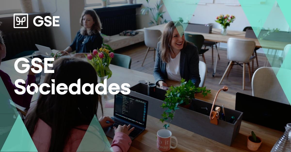 gsesoftware's tweet image. ▶️Crea y presenta las cuentas anuales, optimizando tu tiempo con GSE documental, el software que elabora el #impuesto de sociedades de #Navarra mediante automatización y controles además de simulador.
➡️ @gsesoftware está en continua adaptación normativa
eu1.hubs.ly/H02gfvb0