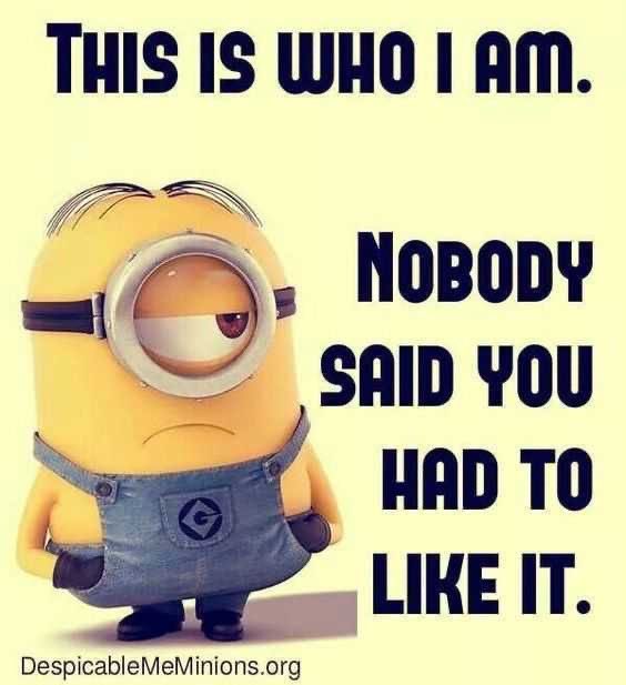 MikeLitorous69's tweet photo. 😂😂😂😂😂I fell over from laughing at this and I realized I left my panic button on the counter!!!😂😂😂😂😂 Now I’m waiting for the ambulance!!! #oops #oldiebutagoodie #notasmartcookie https://t.co/18qbSi4G8C
