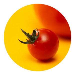 AiGardener's tweet photo. How To Grow Cherry Tomato
#chappygardener #cherry #clicktogrow #Farming #gardening #organic #Tomato #tomatoes
https://t.co/ah1klUhUgg https://t.co/OCrZmF8YlZ