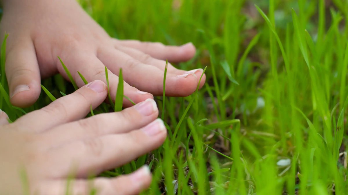 DegenScan tweet media