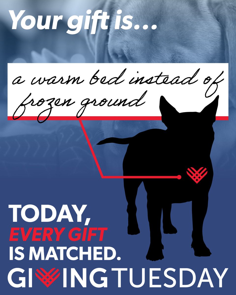 To them, your gift is so much more than a number ❤️ Today ONLY, every gift is matched in full. Make twice the impact: donatenow.networkforgood.org/woodfordhumane/