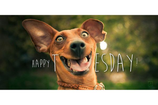 883Journey's tweet photo. 👐Giving Tuesday - *|https://t.co/HUfEG0kkpH|* https://t.co/ZmbfCVAbL1