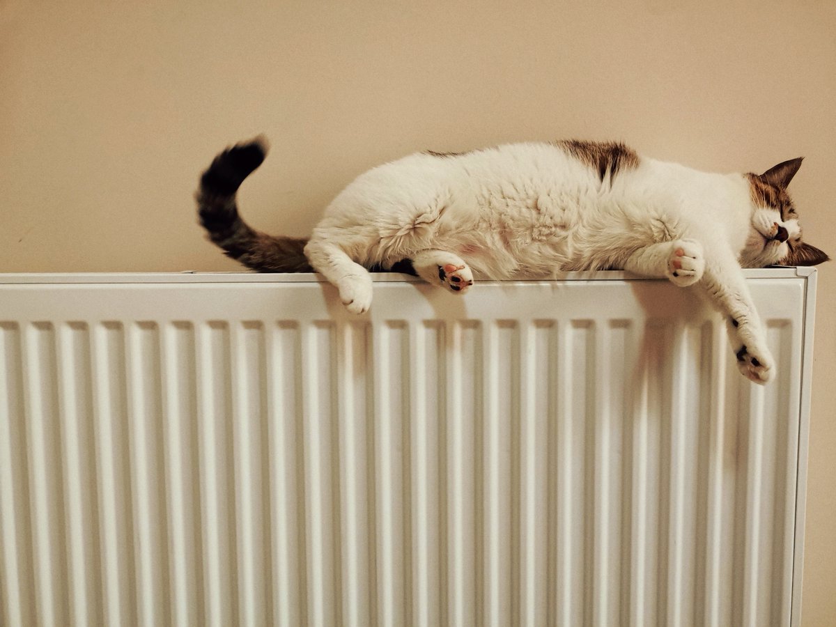 HugLimited's tweet photo. Is a leaking boiler dangerous? Find out in our new blog post here 👉 https://t.co/37WmhdtfCs 

#newboiler #energyefficient #energyefficiency #winter #winterready https://t.co/PlwsSH5GxI