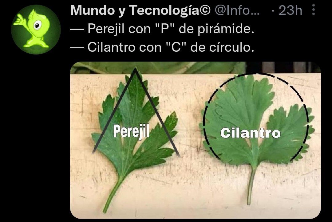 morenolucii's tweet photo. Regla mnemotécnica que veo, regla que me estudio, ya me da igual el tema que sea https://t.co/qE9rWXqBok