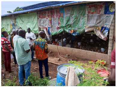 L’ACDA, l’ANDE, le MESA et le MADR ont effectué une visite de renforcement des capacités au Benin sur les dispositifs d’Appui-Conseil aux agriculteurs et éleveurs. Appui du Programme #DEVRURII, financé par l’#UnionEuropéenne grâce au #fondsbêkou et mis en œuvre par #EnabelenRCA.