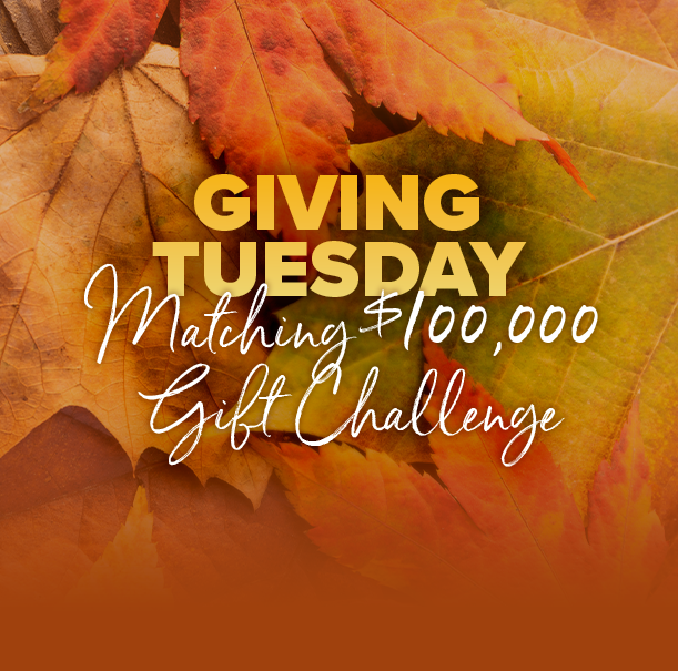It's showtime! All donations are gratefully appreciated in our #GivingTuesday $100K Matching Gift Challenge! 

This year a generous CRF donor has agreed to match all gifts up to $100K, which means your dollar will go twice as far this Giving Tuesday! bit.ly/3DXXcxv