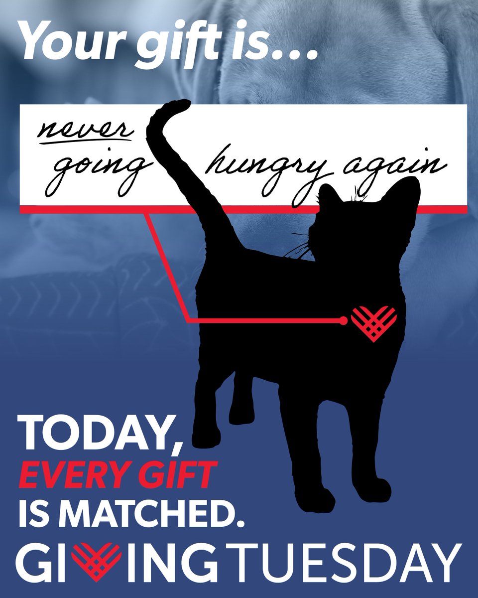 To them, your gift is so much more than a number ❤️ Today ONLY, every gift is matched in full. Make twice the impact: donatenow.networkforgood.org/woodfordhumane/ #GivingTuesday #GiveLocalKY