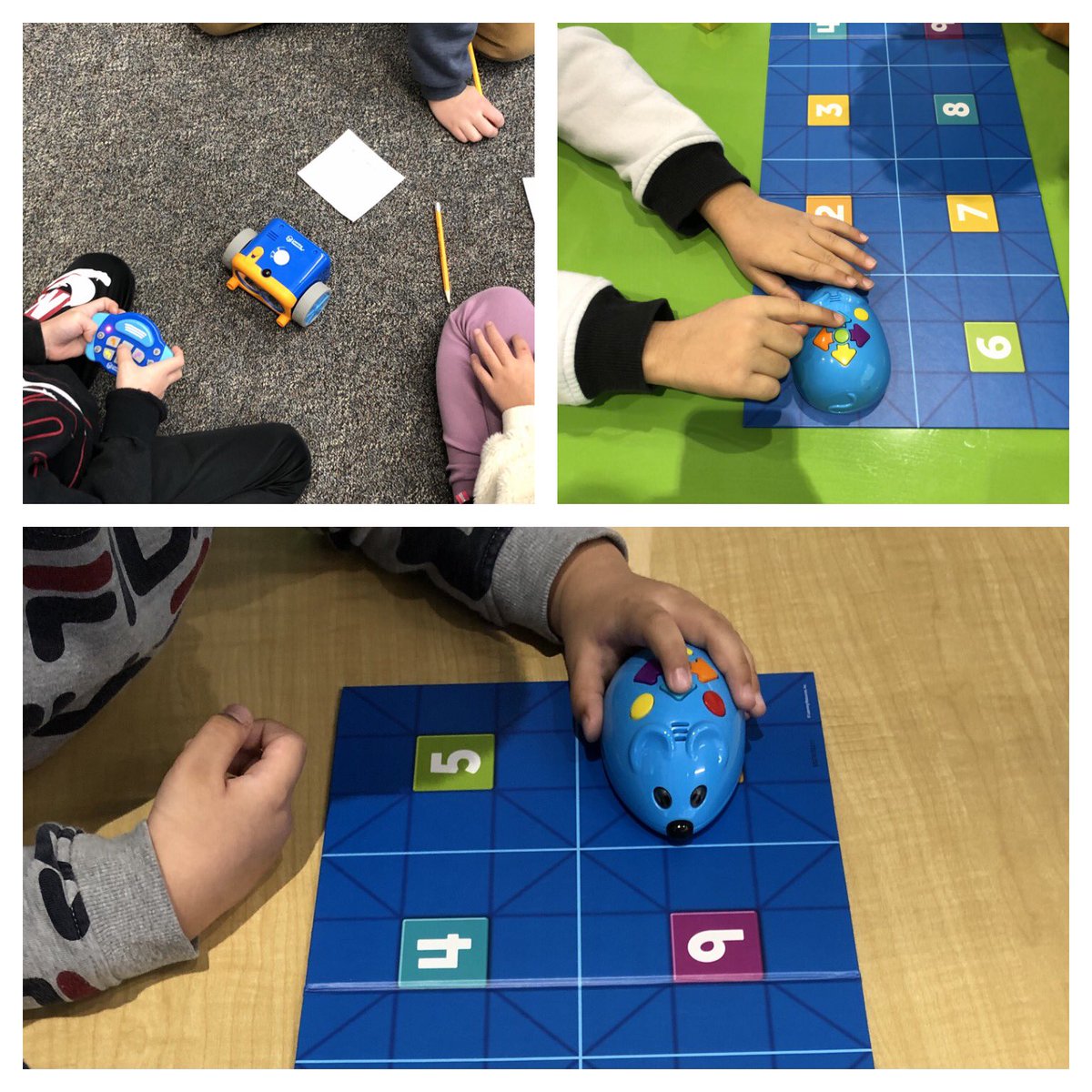 Working with our coding robots #codingwithgrade1 #kidscode <a href="/ddwhdsb/">Dr. David R. Williams Public School</a>