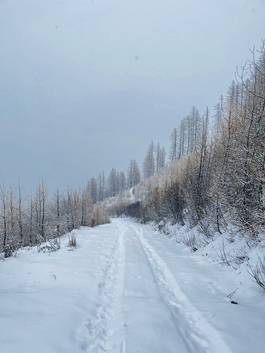 Pelvoux Vallouise Domaine Skiable tweet media