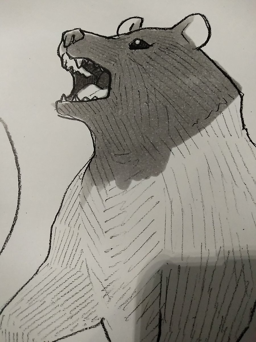 oso18 