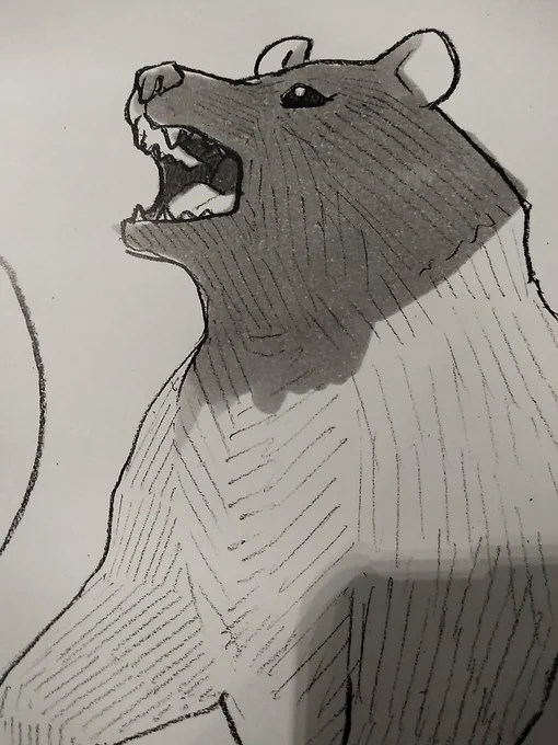 oso18 