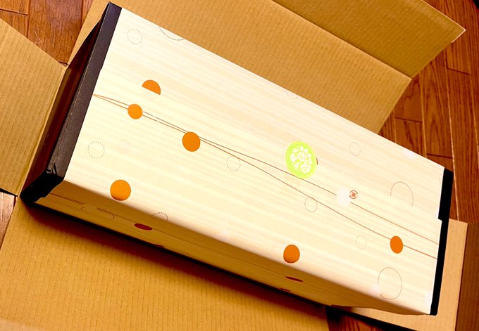 なんかすごいの届いた!
ダンボールの中から更に箱が…

…でっか!! 