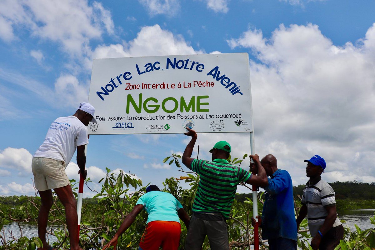 undpgabon's tweet photo. Notre lac, notre avenir: L'Organisation Écologique des Lacs et de l'Ogooué #OELO recevra le #EquatorPrize 2022 pour son travail de création de pêcheries durables au Gabon.
Célébrons leur travail demain lors de la cérémonie de remise du Prix à 15h🇬🇦 👉🔗 https://t.co/A8Gs5xw9HM https://t.co/dph0gBOQCN