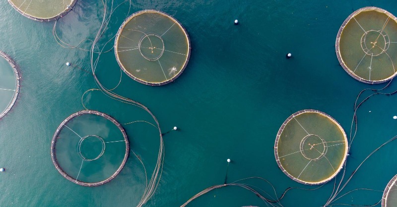 commonwealthsec's tweet photo. A new guide published by the #Commonwealth Secretariat aims to upskill governments and partner organisations in mobilising funds for ocean-based #climatechange projects.

Find out more 👉 https://t.co/726Xb0b5uE

#BlueCharter #CommonwealthONR