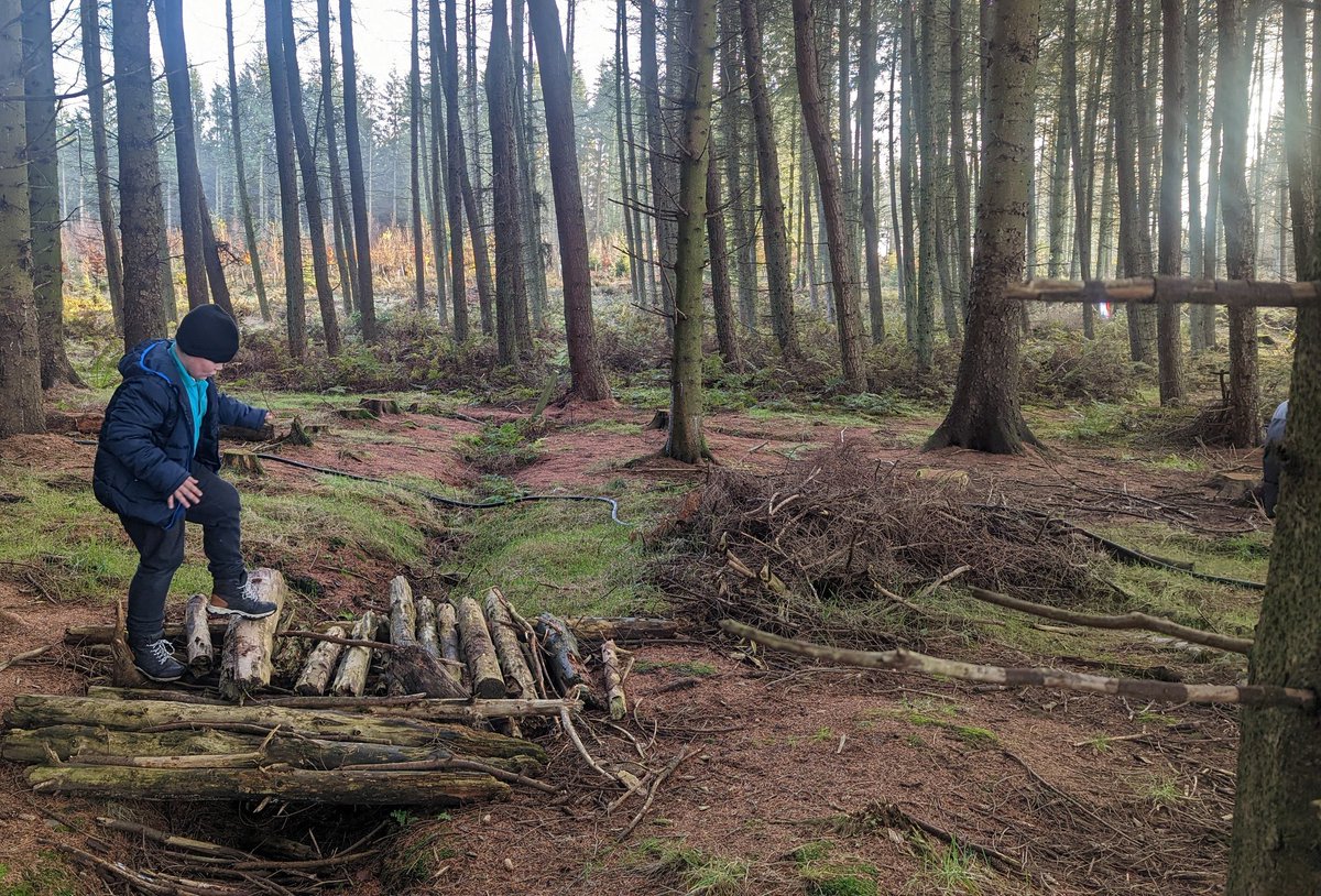 MissKJenkins1's tweet photo. Hunting for pine cones for our winter crafts @CSCGriffin @wlconnolly #outdoorlearning https://t.co/EEisIFHreE