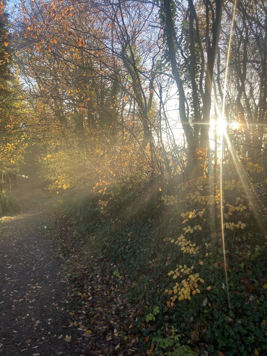 InfocusWestHill's tweet photo. Beautiful morning sun at West Hill today https://t.co/HrfVtQrzG5