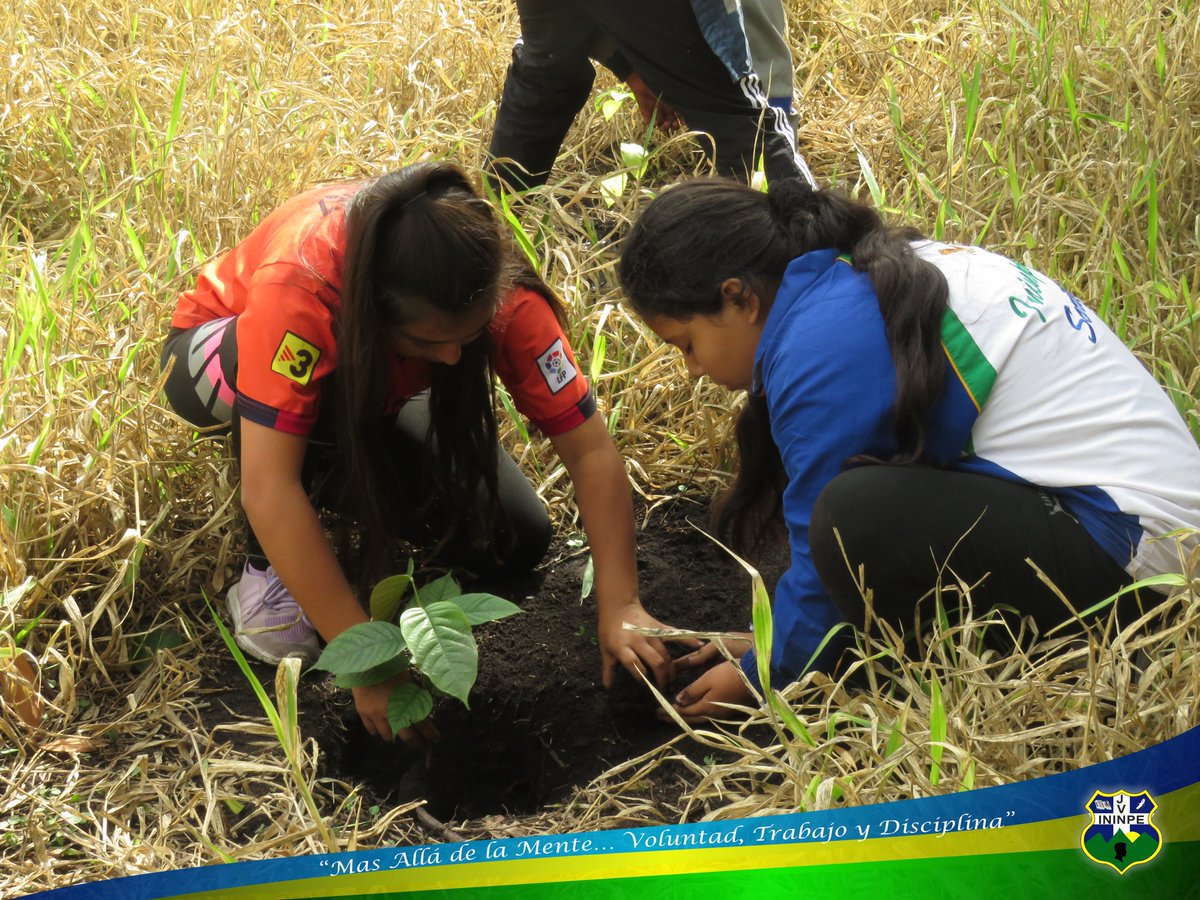 ININPEJV's tweet photo. Continuamos reforestando
#reforestation #arboles #medioambiente #ininpejv #soritor https://t.co/4cVLvw26JT