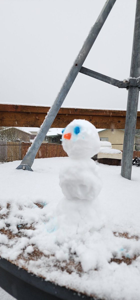 SeattleWXGuy's tweet photo. #SnowMan https://t.co/tnh4POMLG0