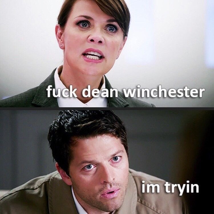 spnreacti0n's tweet photo. Aren’t we all https://t.co/FNJT6jtqRB