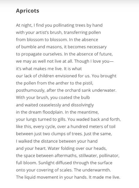 Recently, I’ve become obsessed with poems about love, and this one by Yunkyo Moon-Kim is absolutely breathtaking.