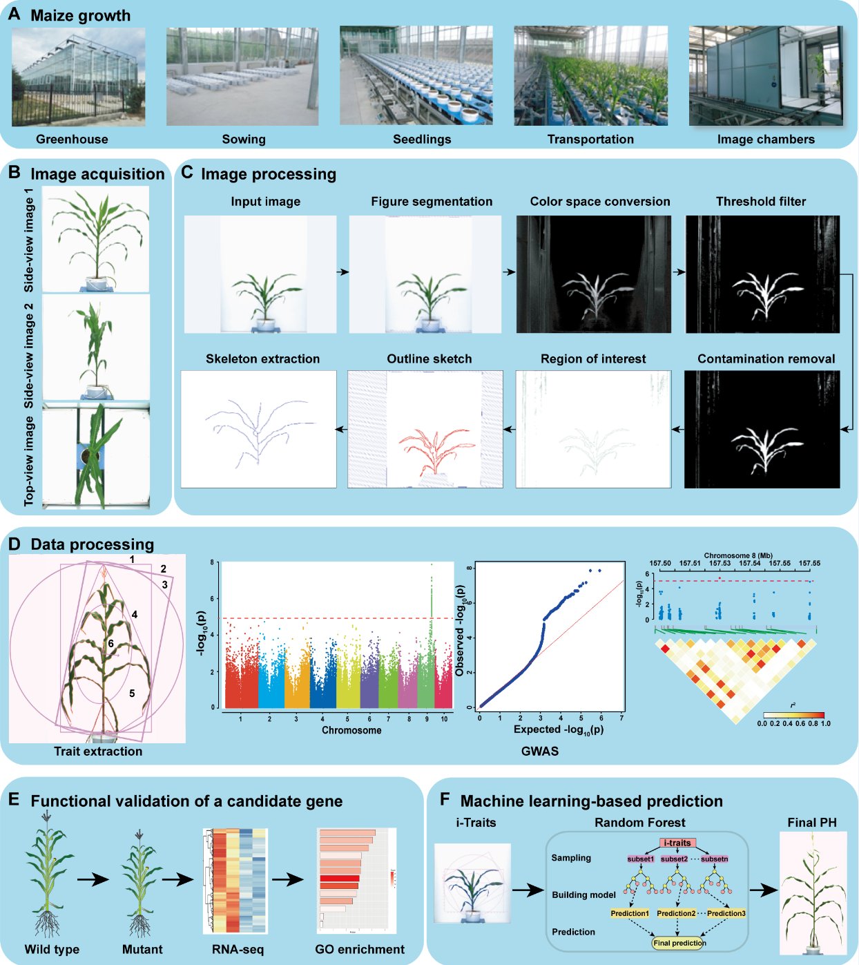 Molecular Plant & Plant Communications on Twitter "Integrating high