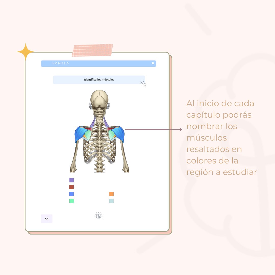 _Dubium's tweet photo. Les platicamos en las siguientes imágenes sobre el Manual del Sistema Musculoesquelético, nuestro best seller. Lo puedes encontrar en: https://t.co/IkSx2KF2Sm https://t.co/buil0dXMpF