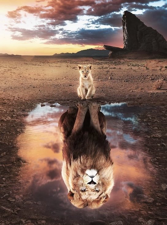 kautuk_singh's tweet photo. Your perception,
Is your reality 💪💪 https://t.co/sHgqLGNuTR