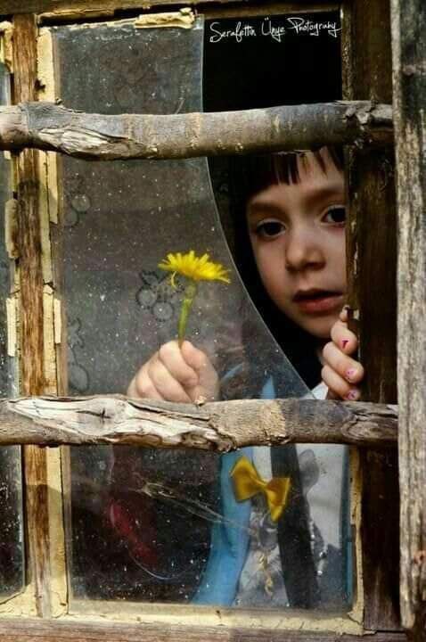 احمد حامد tweet media