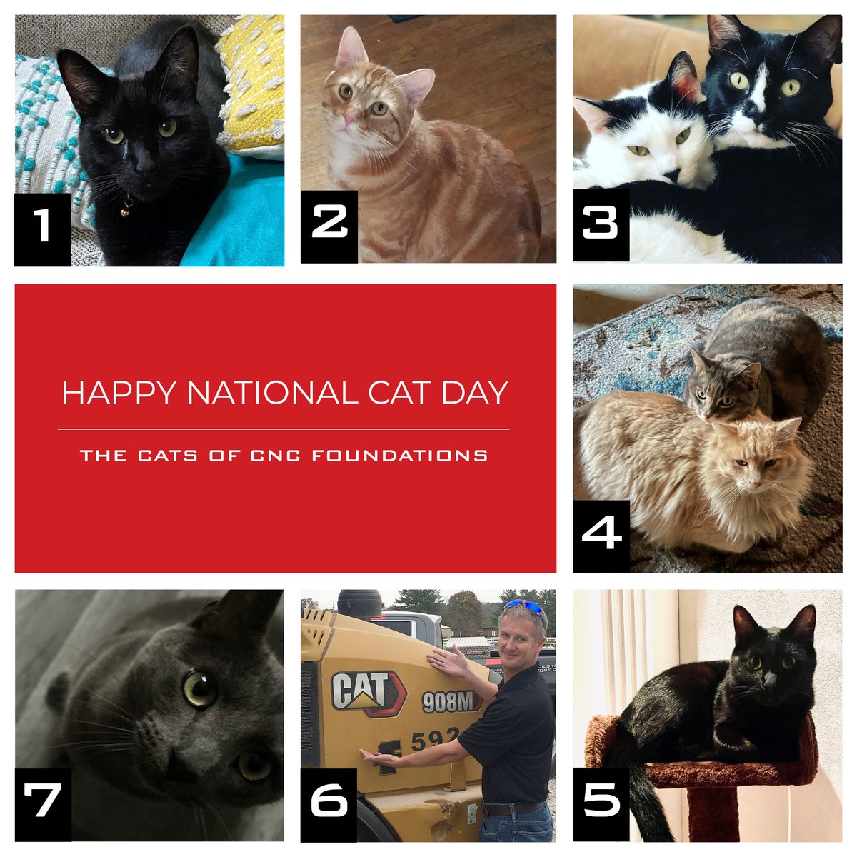 Happy #NationalCatDay! To celebrate, we're showing off our employees' furry friends! Can you guess the cats' names correctly? Comment your guesses below! The names are: Pancake, Cole, Blitzy and Cat Friend, Loki, Joey and Gigi, Mr. Kiki, and 908 Rubber Tire Front Loader 🐱