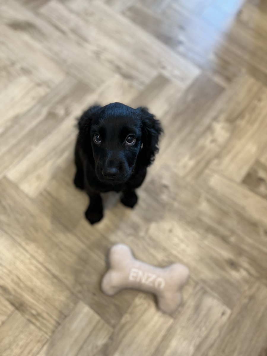 millie tweet media