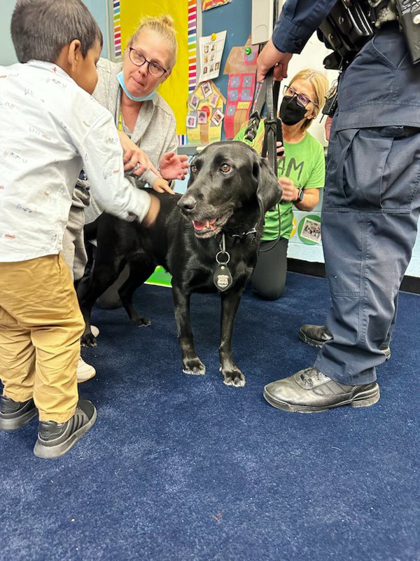 NYPD104Pct's tweet photo. Today, the kids @QPs88 had a great time learning about the @NYPDSpecialops K-9 Unit! 
A special thanks goes out to PO Orellana and his Partner K-9 Mia for their fantastic presentation! 
#NYPDforthekids @NYPDQueensNorth https://t.co/oDtHgSZhHy