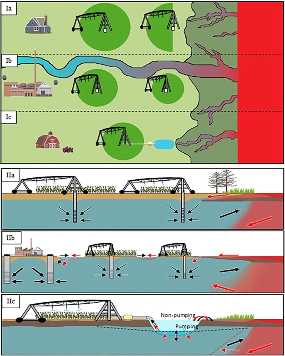 Coastal groundwater in DE is exploited for multiple uses and is under constant risk of salinization. In a recent paper, led by Mary Hingst, we analyzed salinization mechanisms related to complex interactions with surface water:
ngwa.onlinelibrary.wiley.com/doi/10.1111/gw…
