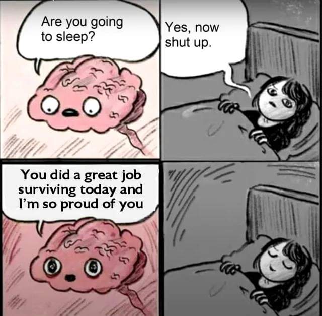 WholesomeMeme's tweet image. 