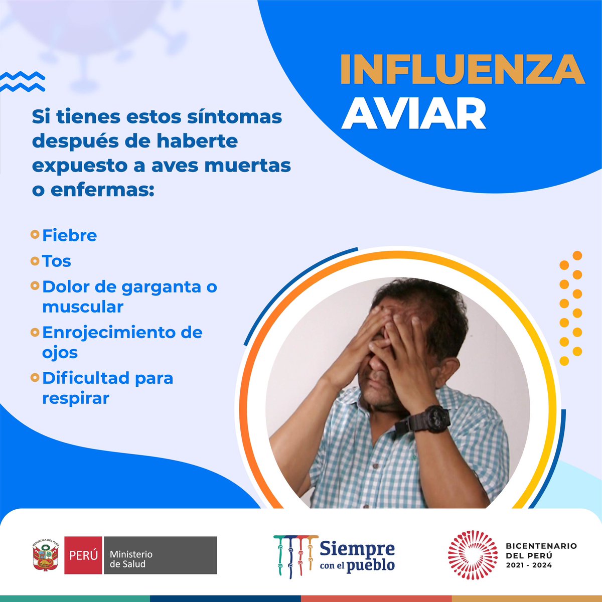 Minsa_Peru's tweet photo. 🔴 ATENCIÓN | ¡Aléjate de las aves muertas o enfermas! 🚫 #InfluenzaAviar 

✅ Si te expusiste, toma en cuenta las siguientes recomendaciones. 👇 https://t.co/PmowxxvM2T