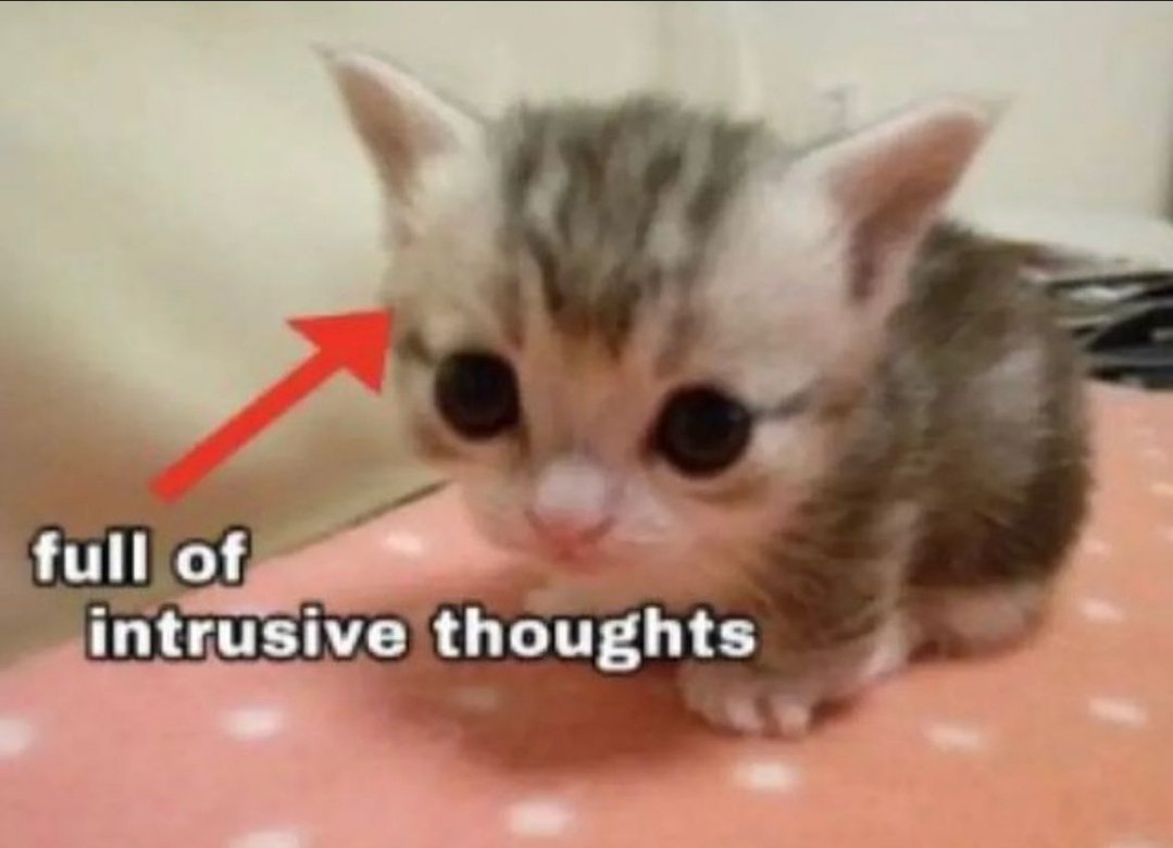 DontShowYourCat's tweet image. 