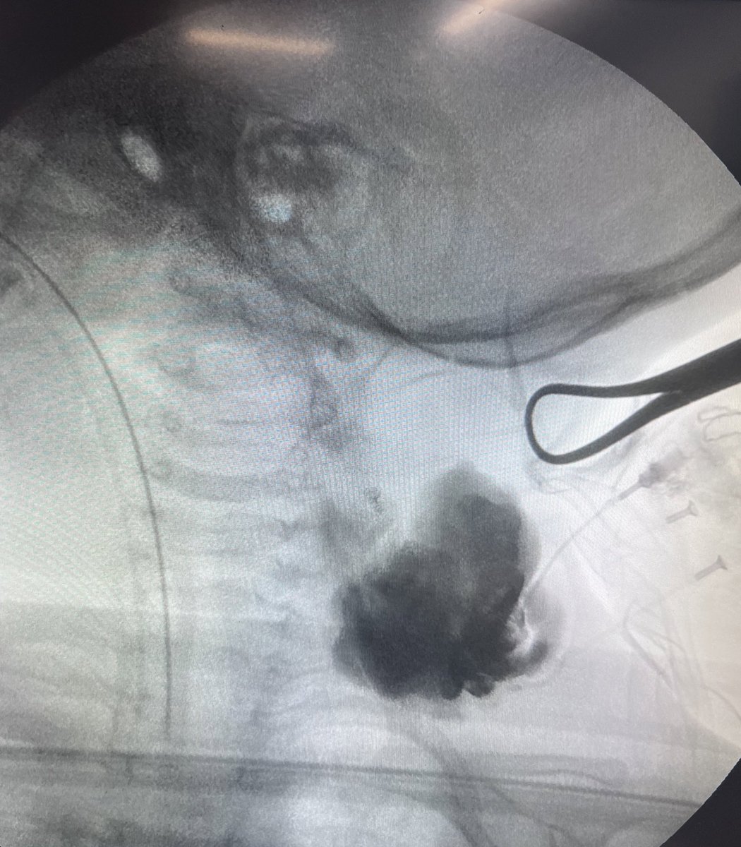 Dr. Dario Teplisky tweet media