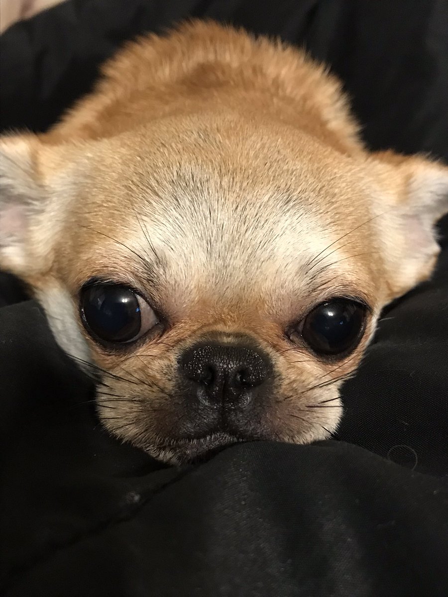 RealReadiness's tweet image. Happy Tuesday #PeaceAndLove